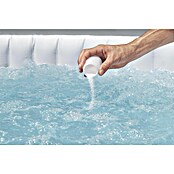 Bestway Chloorgenerator Hydrogenic 0,5 g/h drijver (Geschikt voor zwembadgrootte: 1.400 l, Bedrijfsduur: 8 u) | BAUHAUS