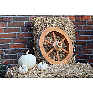 Promadino Wagenrad (Durchmesser: 50 cm)
