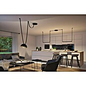 Paulmann ULine LED-Pendelleuchte rund Bol (12 W, Ø x H: 30 x 16 cm, Warmweiß, Schwarz) | BAUHAUS
