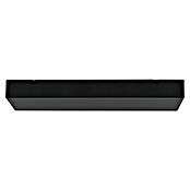 Paulmann Linion Strujni priključak Zigbee  (D x Š x V: 10 x 36,5 x 4 cm, Crna, Može se prigušiti, 144 W) | BAUHAUS