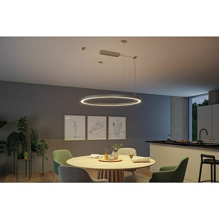 Paulmann Linion Einspeisekabel (175 cm, Grau) | BAUHAUS