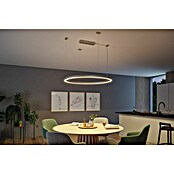 Paulmann Linion Einspeisekabel (175 cm, Grau) | BAUHAUS
