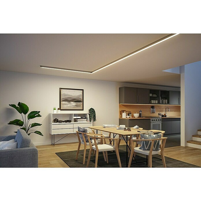 Paulmann Linion Stromeinspeisung Power Channel (100 x 4 x 4 cm, Chrom matt, Nicht Dimmbar) | BAUHAUS