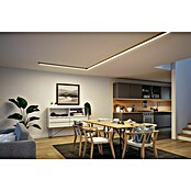 Paulmann Linion Stromeinspeisung Power Channel (100 x 4 x 4 cm, Chrom matt, Nicht Dimmbar) | BAUHAUS