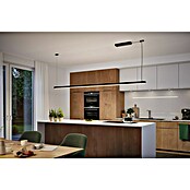 Paulmann Linion Strujni priključak Zigbee  (D x Š x V: 10 x 36,5 x 4 cm, Crna, Može se prigušiti, 144 W) | BAUHAUS