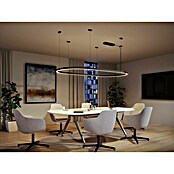 Paulmann Linion Strujni priključak Zigbee  (D x Š x V: 10 x 36,5 x 4 cm, Crna, Može se prigušiti, 144 W) | BAUHAUS