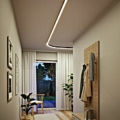 Paulmann Linion Lichtkanal (Warmweiß, Signalschwarz, L x B x H: 50 x 4 x 4 cm) | BAUHAUS