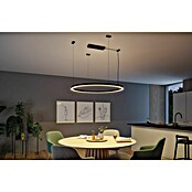 Paulmann Linion Strujni priključak Zigbee  (D x Š x V: 10 x 36,5 x 4 cm, Crna, Može se prigušiti, 144 W) | BAUHAUS