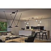 Paulmann ULine LED-Pendelleuchte rund Cone (12 W, Ø x H: 35 x 9 cm, Warmweiß, Schwarz) | BAUHAUS