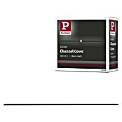 Paulmann Linion Abdeckung Gerade (L x B x H: 3,6 x 100 x 0,1 cm, Schwarz matt) | BAUHAUS