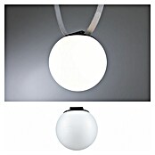 Paulmann ULine LED-Kugel Ball (8 W, Ø x H: 15 x 15,2 cm, Schwarz, Warmweiß) | BAUHAUS