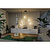Paulmann ULine Gurtsystem (Länge: 10 m, Grün) | BAUHAUS
