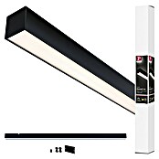 Paulmann Linion Lichtkanal (Warmweiß, Signalschwarz, L x B x H: 100 x 4 x 4 cm) | BAUHAUS