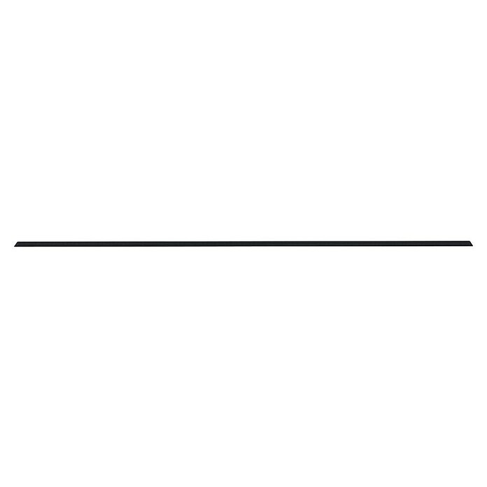 Paulmann Linion Abdeckung Gerade (L x B x H: 3,6 x 100 x 0,1 cm, Schwarz matt) | BAUHAUS