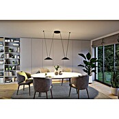 Paulmann ULine LED-Pendelleuchte rund Cone (12 W, Ø x H: 35 x 9 cm, Warmweiß, Schwarz) | BAUHAUS