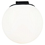 Paulmann ULine LED-Kugel Ball (8 W, Ø x H: 15 x 15,2 cm, Schwarz, Warmweiß) | BAUHAUS