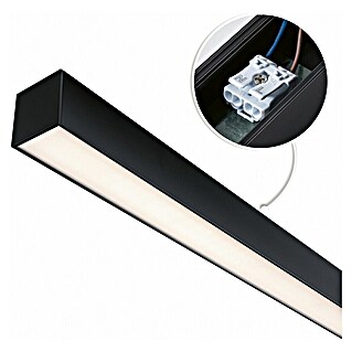 Paulmann Linion Stromeinspeisung Power Channel (100 x 100 x 4 cm, Signalschwarz, Dimmbar)