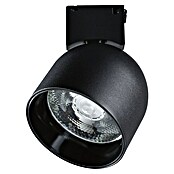 Paulmann ULine LED-Spotstrahler Ronde (7 W, Ø x H: 8,5 x 11 cm, Schwarz, Warmweiß) | BAUHAUS