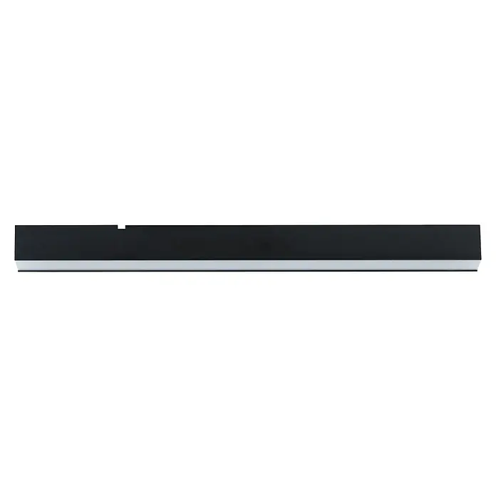 Paulmann Linion Lichtkanal - Warmweiß, Signalschwarz, L x B x H: 50 x 4 x 4 cm - Schwarzes Regal mit einer schmalen silbernen Leiste am unteren Rand, modernes Design.