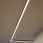 Paulmann Linion Lichtkanal (Warmweiß, Signalschwarz, L x B x H: 50 x 4 x 4 cm) | BAUHAUS