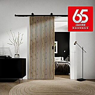 Radex Schiebetür-Komplettset Lamello (98,5 x 211 cm, Holz)