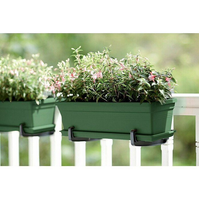 Elho Green Basics Plant-/bloembak (Kunststof, Groen, Lengte: 80 cm) | BAUHAUS
