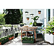 Elho Green Basics Plant-/bloembak (Kunststof, Groen, Lengte: 80 cm) | BAUHAUS
