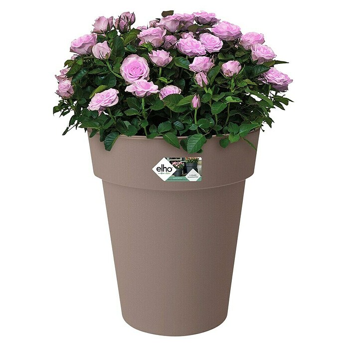 Elho Plantenbak Top Planter Hoog 35 (Ø x h: 35 x 41 cm, Taupe, Kunststof) | BAUHAUS