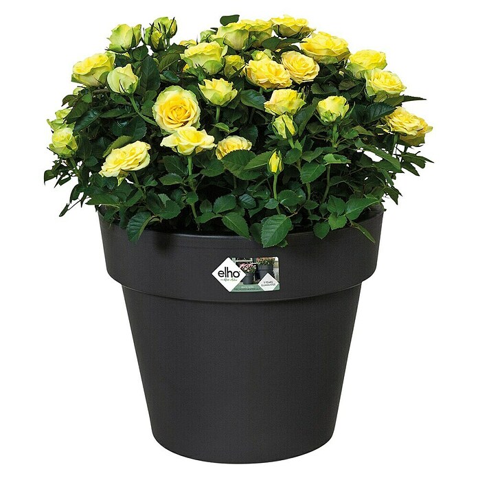 Elho Plantenbak Top Planter 23 (Ø x h: 23 x 19,6 cm, Zwart, Kunststof) | BAUHAUS