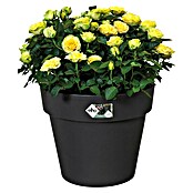 Elho Plantenbak Top Planter 23 (Ø x h: 23 x 19,6 cm, Zwart, Kunststof) | BAUHAUS