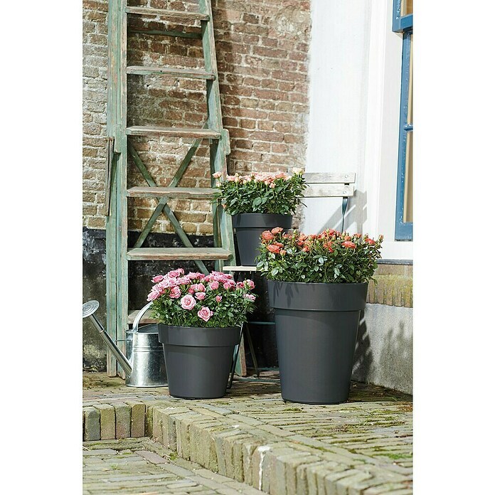 Elho Plantenbak Top Planter 23 (Ø x h: 23 x 19,6 cm, Zwart, Kunststof) | BAUHAUS