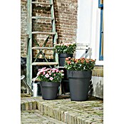 Elho Plantenbak Top Planter 23 (Ø x h: 23 x 19,6 cm, Zwart, Kunststof) | BAUHAUS