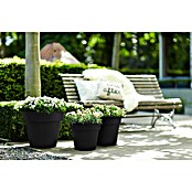 Elho Plantenbak Top Planter 23 (Ø x h: 23 x 19,6 cm, Zwart, Kunststof) | BAUHAUS