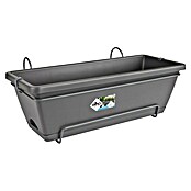 Elho Barcelona Plant-/bloembak All-in-1 (50 cm, Antraciet, Kunststof) | BAUHAUS
