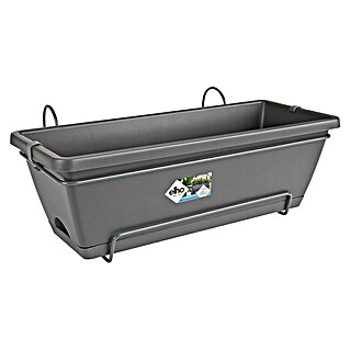 Elho Barcelona Plant-/bloembak All-in-1 (50 cm, Antraciet, Kunststof)