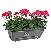 Elho Barcelona Plant-/bloembak All-in-1 (50 cm, Antraciet, Kunststof) | BAUHAUS
