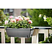 Elho Barcelona Plant-/bloembak All-in-1 (50 cm, Antraciet, Kunststof) | BAUHAUS