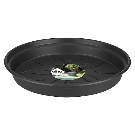 Elho Green Basics Blumentopf-Untersetzer