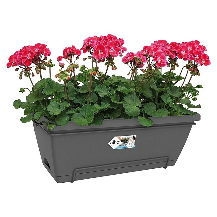 Elho Barcelona Plant-/bloembak XL All-in-1 (55 cm, Antraciet, Kunststof) | BAUHAUS