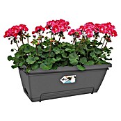 Elho Barcelona Plant-/bloembak XL All-in-1 (55 cm, Antraciet, Kunststof) | BAUHAUS