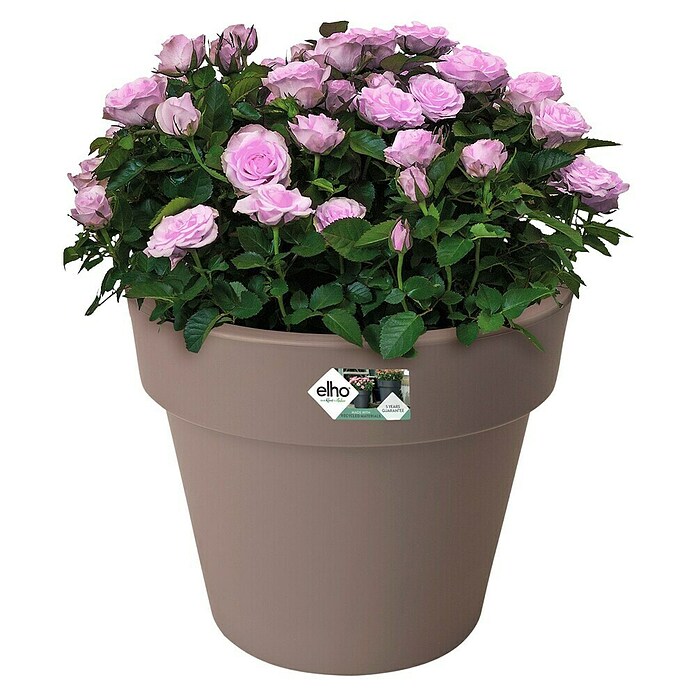 Elho Plantenbak Top Planter 40 (Ø x h: 39 x 33 cm, Taupe, Kunststof) | BAUHAUS