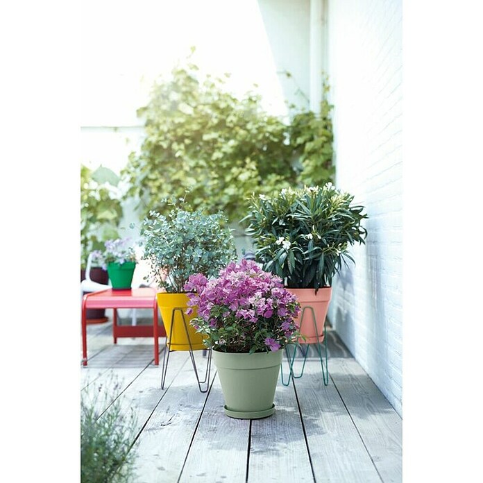 Elho Plantenpot Loft Round 20 (Kunststof, Groen) | BAUHAUS