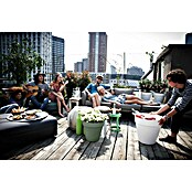 Elho Plantenpot Loft Round 20 (Kunststof, Groen) | BAUHAUS