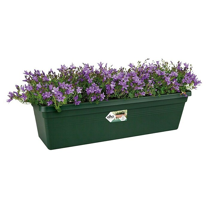 Elho Green Basics Plant-/bloembak (Kunststof, Groen, Lengte: 58 cm) | BAUHAUS