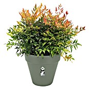 Elho Plantenpot Loft Round 20 (Kunststof, Groen) | BAUHAUS
