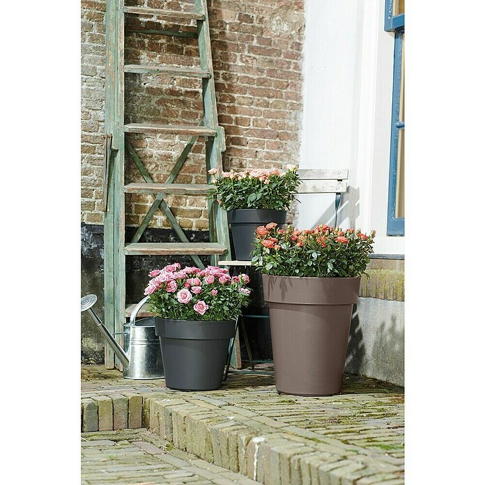 Elho Plantenbak Top Planter Hoog 35 (Ø x h: 35 x 41 cm, Taupe, Kunststof) | BAUHAUS