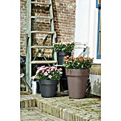 Elho Plantenbak Top Planter Hoog 35 (Ø x h: 35 x 41 cm, Taupe, Kunststof) | BAUHAUS