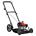 Powered Bencinska kosilnica PWRB 53 cm ES 