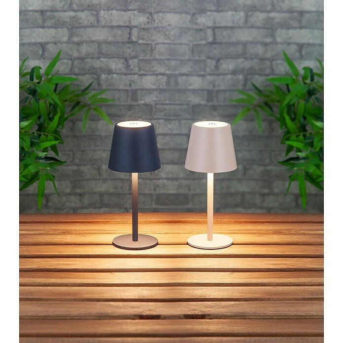 Starlux Paola Accu-tafellamp Paola Mini (3 st., 1,6 W, l x b x h: 8,6 x 8,6 x 27 cm, Zand, Warm wit) | BAUHAUS