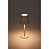 Starlux Paola Akku-Tischleuchte Paola Mini (3 Stk., 1,6 W, L x B x H: 8,6 x 8,6 x 27 cm, Warmweiß, Sand) | BAUHAUS